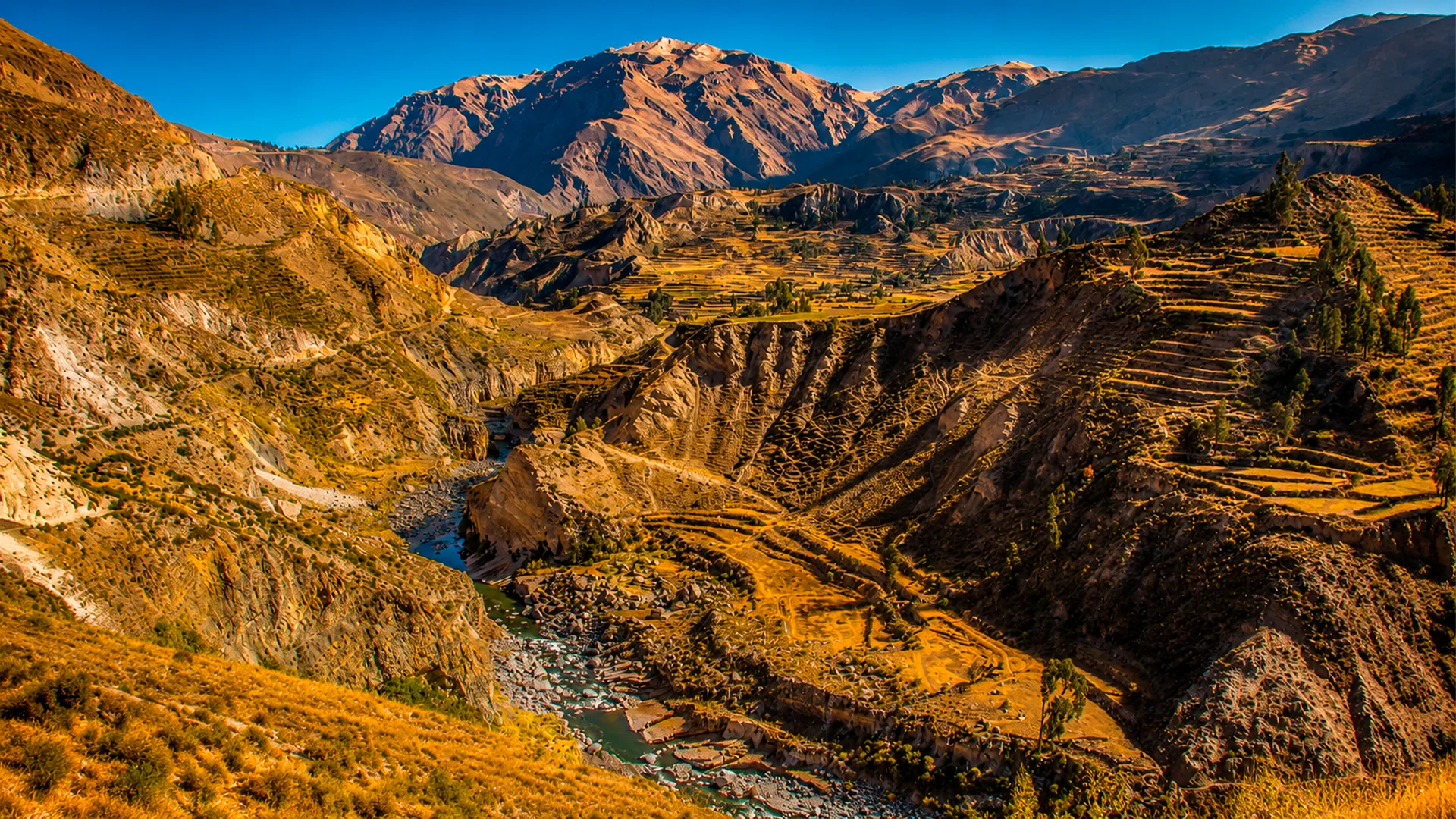 Colca Canyon 2 Days