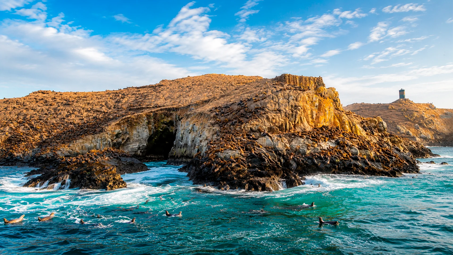 Palomino Islands